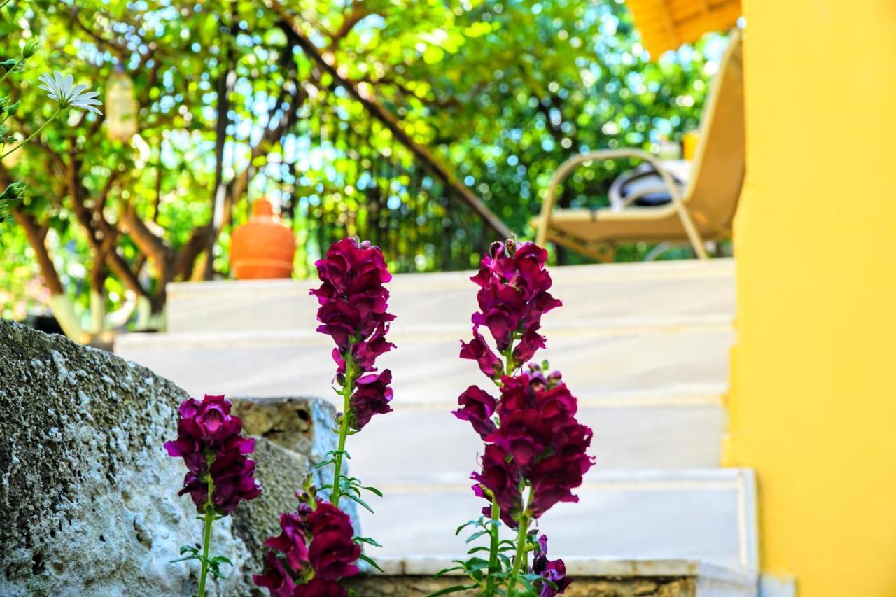 Vila Agnanti House Symi Exteriér fotografie